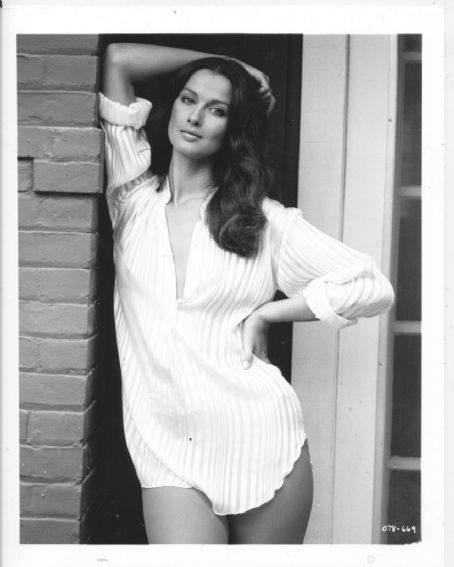 Veronica Hamel Veronica Hamel Celebrity Stars Beautiful Actresses 5227