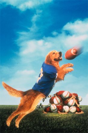 You are here: Pics  Air Bud: Go...