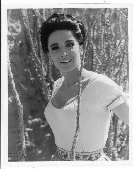 Linda Cristal Pic - Image Of Linda Cristal - Allstarpics.net