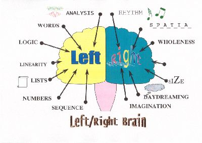 Left Brain