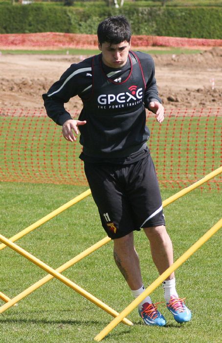Fernando Forestieri