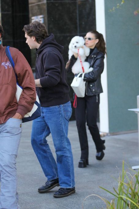 Nicola Peltz – Seen with her dog at Sweetgreen health food restaurant in Beverly Hills