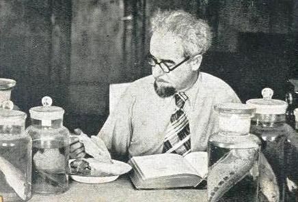 Walter Steinitz