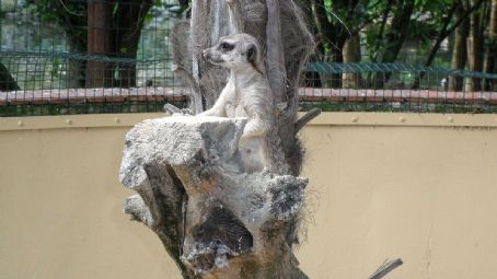 Cappeller Fauna Park