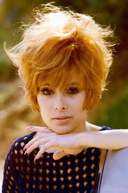 Jill St. John | Jill St. John Picture #19716728 - 253 x 380 - FanPix.Net