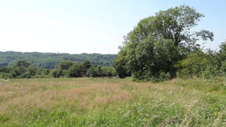 Riddlesdown Common