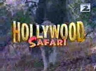 Hollywood Safari