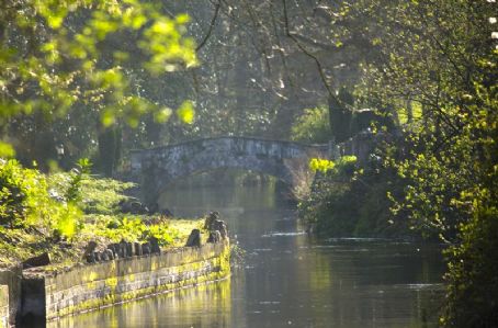 Celbridge Abbey