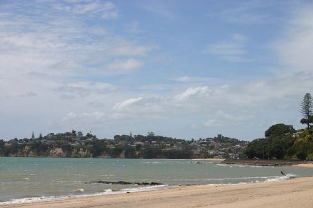 Kohimarama
