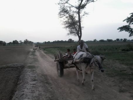 Bhidauni