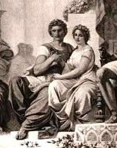 Drypetis