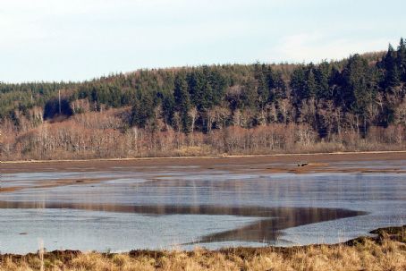 Grays Harbor National Wildlife Refuge