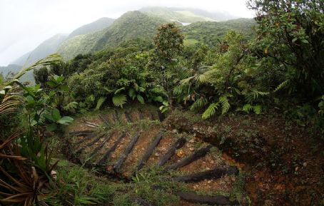 Morne Trois Pitons National Park