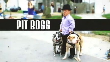 Pit Boss