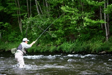 Fly Fishing: Memories of Angling Days