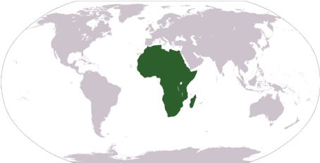 Kwesi Kwaa Prah