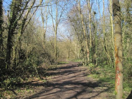 Crofton Wood