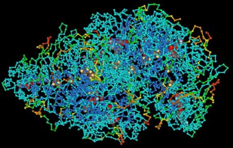 Macromolecule