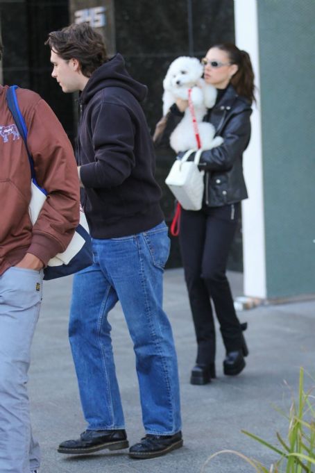 Nicola Peltz – Seen with her dog at Sweetgreen health food restaurant in Beverly Hills