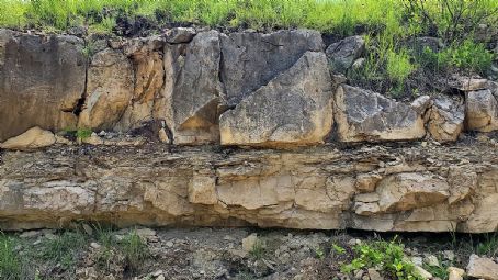 Fort Riley Limestone