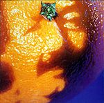A Picture Of Nectar