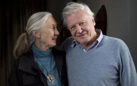 David Attenborough & Jane Elizabeth Ebsworth Oriel in middle age ...