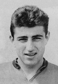 Dimitar Kotev