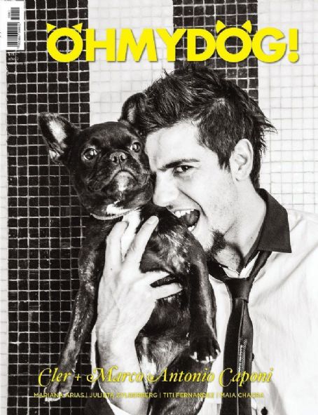 Bulldog Francés - OhMyDog! Magazine