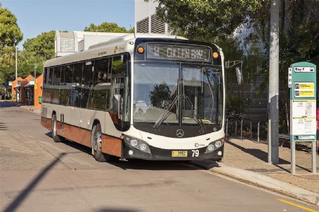Darwinbus