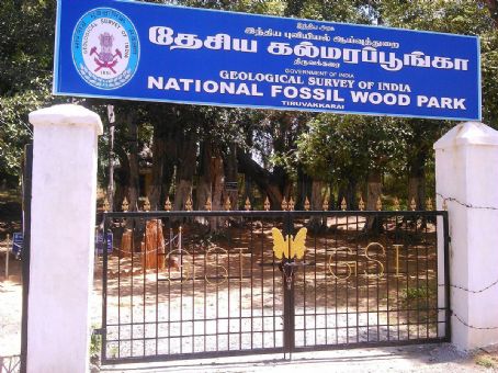 National Fossil Wood Park, Tiruvakkarai