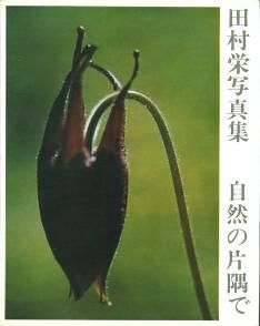 Sakae Tamura (nature photographer)
