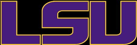 2008 LSU Tigers football team