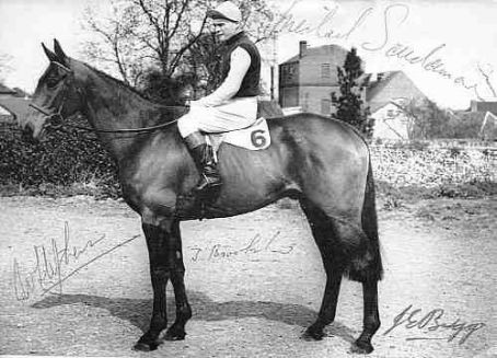 Oxo (horse)