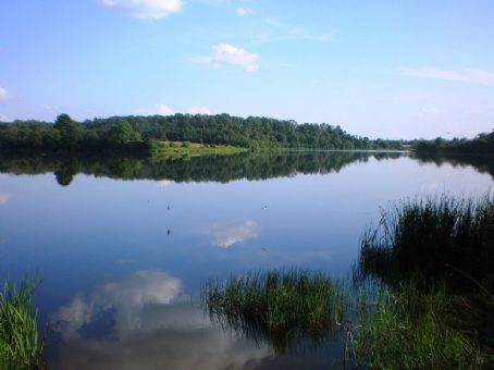 Labūnava Reservoir