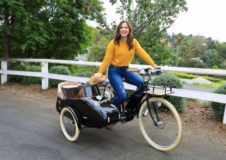 Sophia Bush – Spotted while driving her Dog with a Bike in Los Angeles