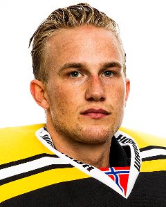 Henrik Holm (ice hockey)