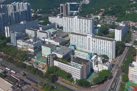 Lek Yuen Estate