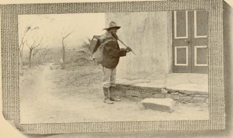 John McKendree Springer