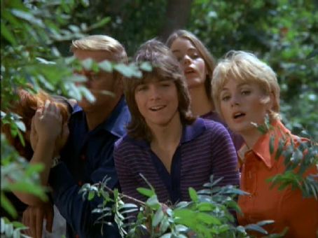 The Partridge Family