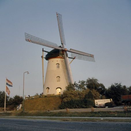 Landerd