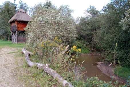 Lafnitz (river)