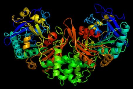 Cathepsin A
