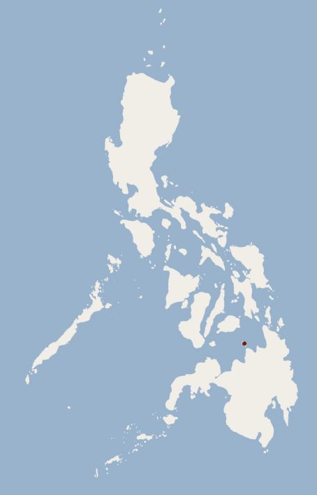 Camiguin forest rat