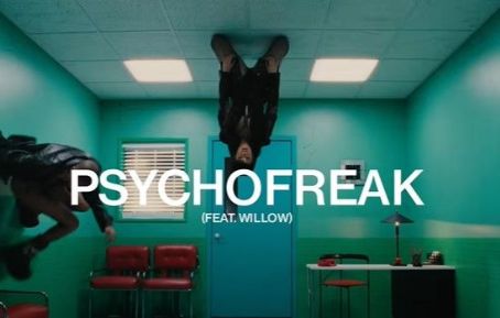 Camila Cabello Feat. Willow: Psychofreak