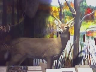 Nature center