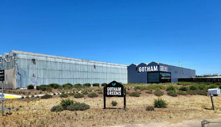 Gotham Greens