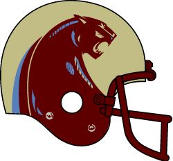 Michigan Panthers