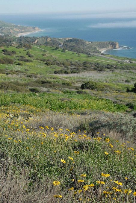 Palos Verdes Peninsula Land Conservancy