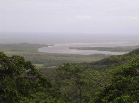 Daintree River