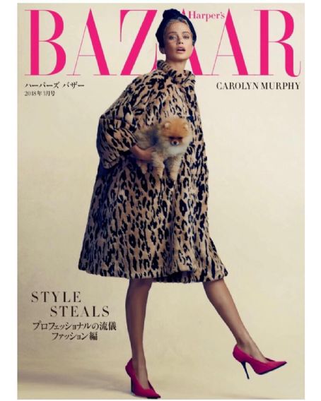 Carolyn Murphy, Harper's Bazaar Magazine February 2018 Cover Photo - Japan